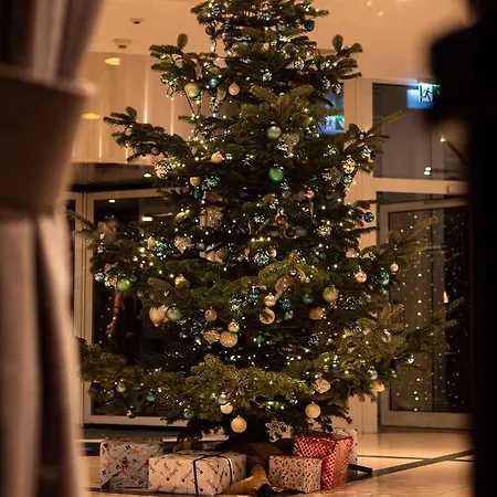 Hotel Radisson Blu *